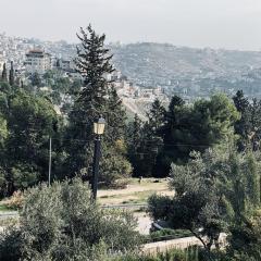 Looking into the green hills and valleys of Jerusalem 