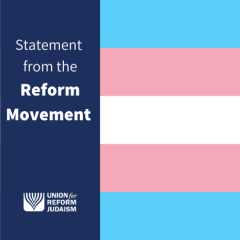 Transgender flag in pink, white and blue with "Statement from the Reform Movement" written in white on blue box